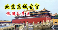 女人日逼黄色大片中国北京-东城古宫旅游风景区